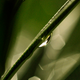 Illustration for article titled Refraction Shooting Challenge Gallery 2